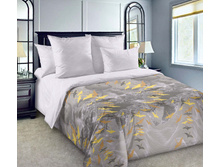 ��������� ����� 2 ������� 220 �� ������+���������