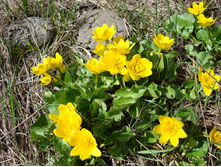 ��������� ��������������.jpg