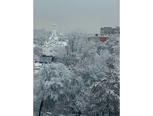 256396345-20211217 113950.jpg