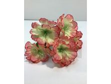 35.00 ���./��. 2891 ����� ������, 5 �