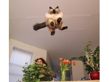 ������ �������!