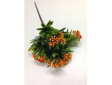 85.00 ���./��. 1423 ����� � �������, �������, 5 � - 11 ��