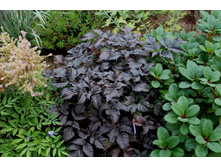 �������� ������� �����.jpg