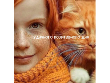 �������� ����������� ���!