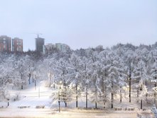 256424785-img 20211221 114131.jpg