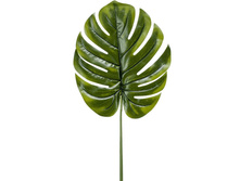 20 ��� ���. 3062 ���� ��������