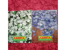 ������� ���������