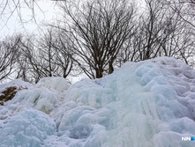 78b5a90950dea3bf0fe76bd5ad11737e6e6ec575 727.jpg.webp-portal.jpg