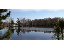 IMG 20220423 102212.jpg