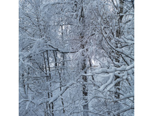 256383725-img 20211217 090801.jpg