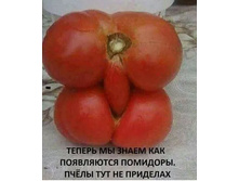 IMG 20220404 153416.jpg