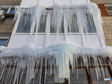 20f07799077a9f41f0eaa8f2053f91a966b54035 727.jpg.webp-portal.jpg