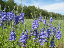 �������� �������������.jpg