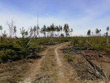 IMG 20220423 120430.jpg