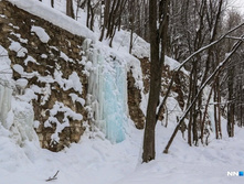 8d125406eecc1d768da5daaa2bba09806e820afc 727.jpg.webp-portal.jpg