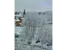 256399823-img 20211218 081916.jpg