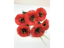 39.00 ���./��. 2793 ����� ����������, 6 �