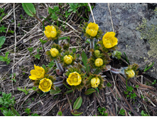 �������� ����������.jpg