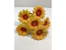 39.00 ���./��. 2461 ����� ������� ������, 6 �