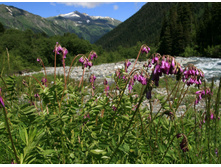 ��������� ����������.jpg