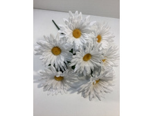 79.00 ���./��. 3104 ����� ������� �����, 7 � (�� ������)