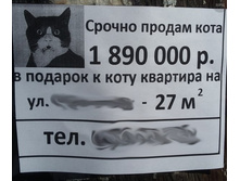 ��� ����� ��� ������� ...