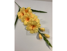 79.00 ���./��. 2907 ����� �����������