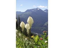 ����������� ������.jpg