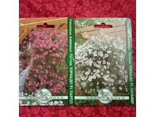 IMG 20220406 141726.jpg