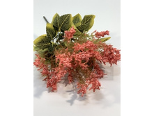 85.00 ���./��. 2773 ����� ������������, �������, 5 �