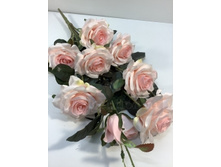 520.00 ���./��. 2885 ����� ��� � �������� 1 ��