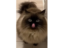 ������ ��� ��������� ...