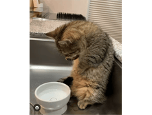 ����� ��� ����� ������ ������ ...