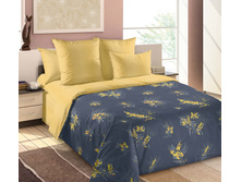 ����� ������ 1 ������� 220 �� ������+���������