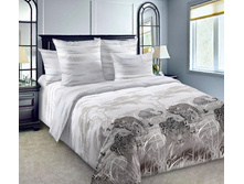 �������� 1 ������� 220 �� ������+���������