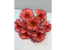 79.00 ���./��. 3005 ����� ���������, 7 �