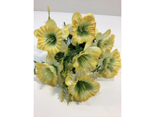 49.00 ���./��. 2782 ����� ��������� 8 ��