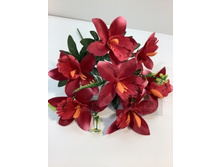 79.00 ���./��. 3117 ����� �������, 7 �