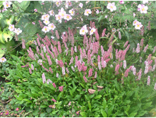 ����� ��������������. � ������� 2 ��. ���� 125�