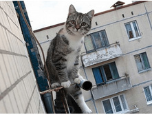 ��� ����?