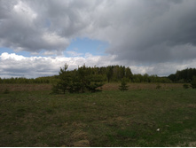 20220514 ������ 400 ���������� 113501.jpg