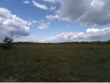 20220514 ������ 400 ���������� 113458.jpg