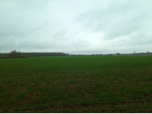 20220430 ������-200 ���������� 084625.jpg