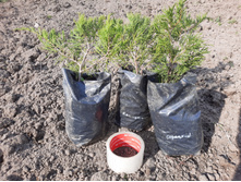 �������������