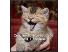 ������� ���� ���������. ��� �. ��������.