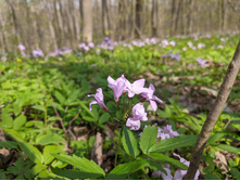 PXL 20220508 131748775.jpg