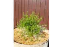 ����� ���������� ��������� ������ ������� ����