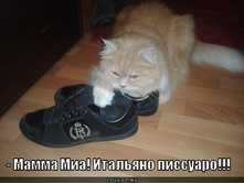 ����� ���! �������� ��������!!!