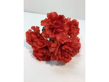 39.00 ���./��. 2947 ����� �������, 6 �