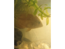 IMG 20220521 203629.jpg